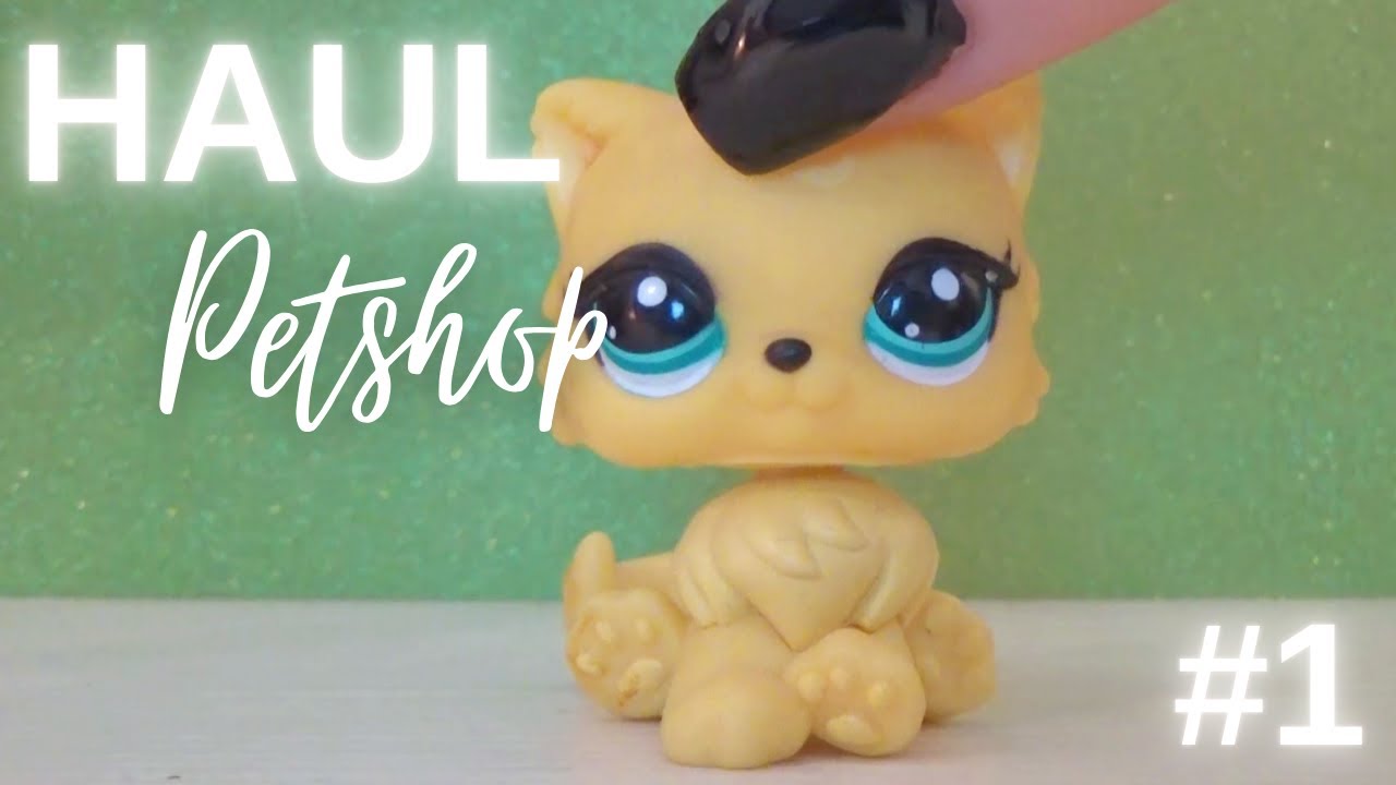 HAUL Petshop VINTED #1