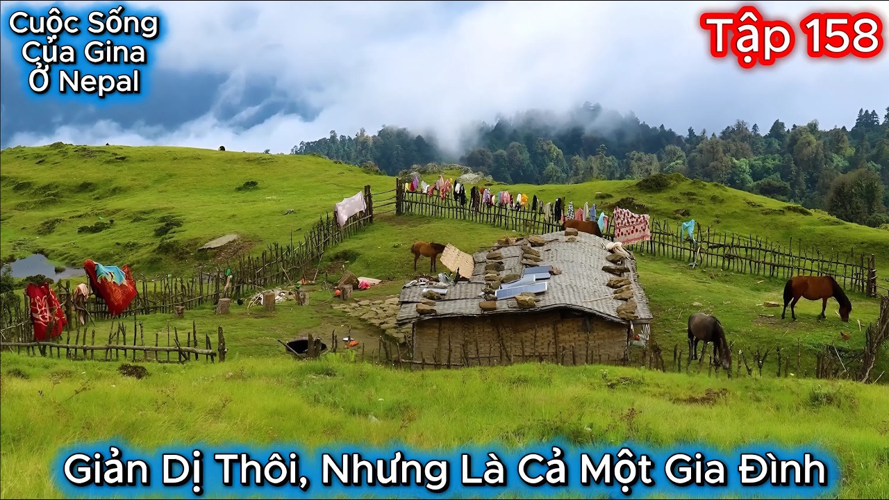 GINA Tập 158 - Giản Dị Thôi, Nhưng Là Cả Một Gia Đình