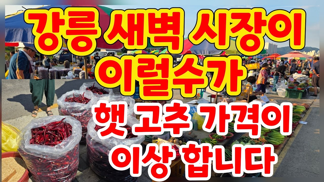  햇 고추 가격이 장난이 아니네요  직접 농사짓는 사람들은 아닌것 같은데 여기서 장사를 ~