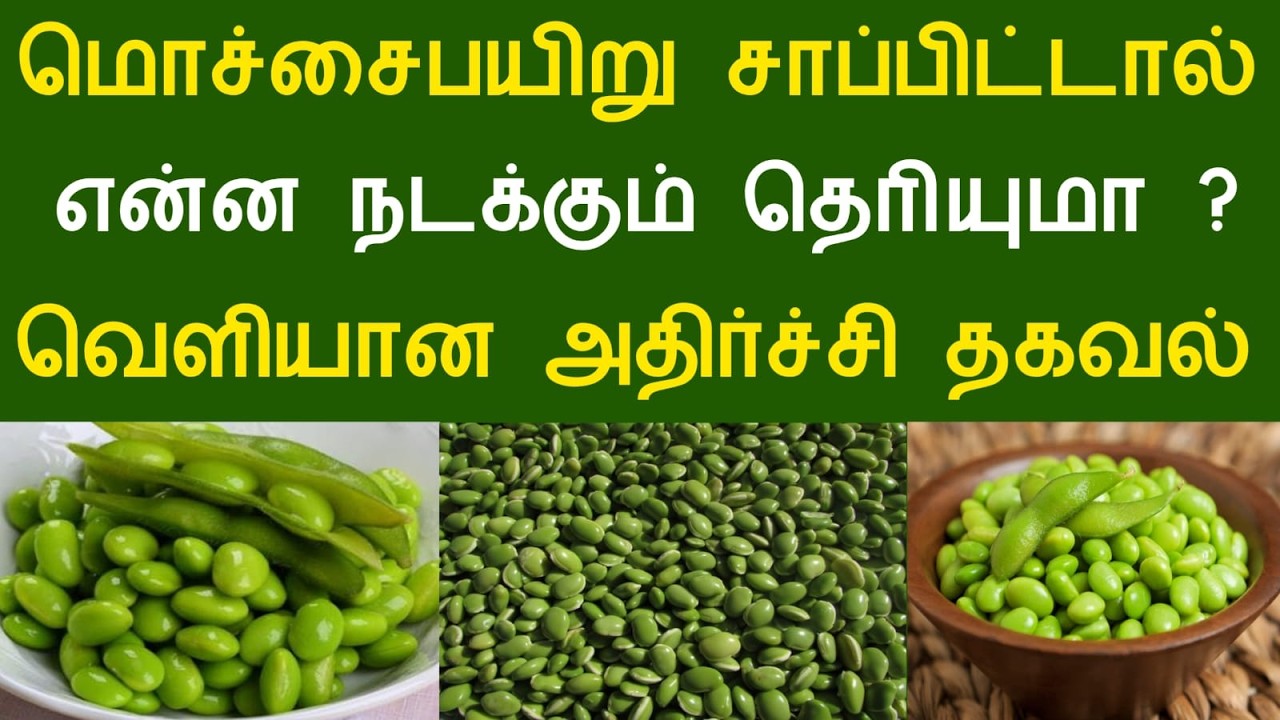 மொச்சைபயிறு சாப்பிட்டால் என்ன நடக்கும் தெரியுமா ? வெளியான அதிர்ச்சி தகவல்