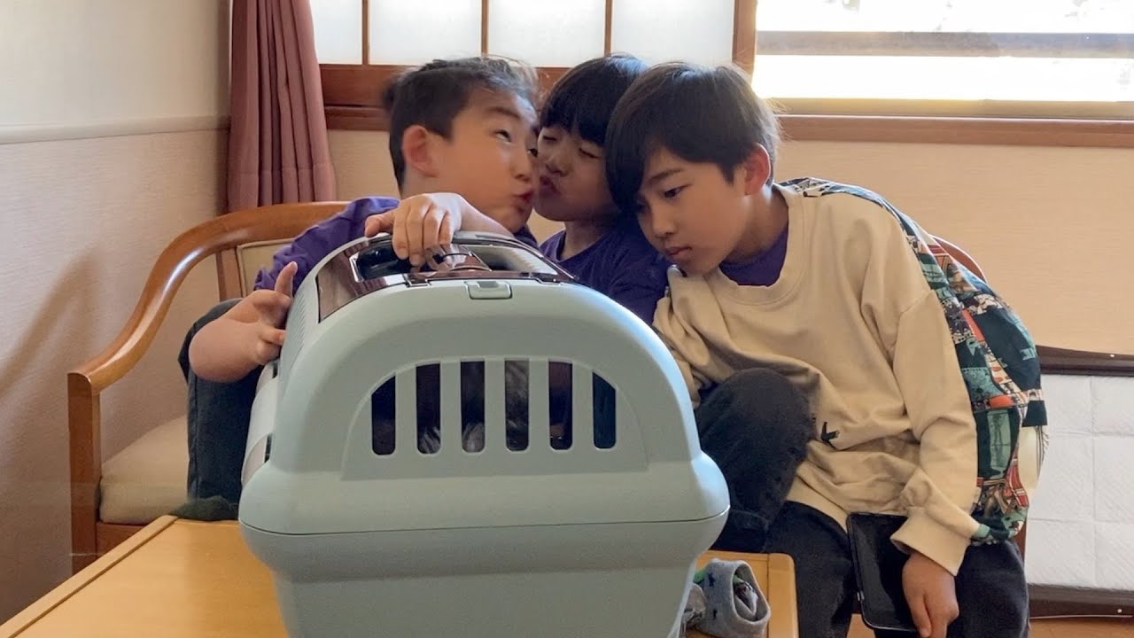 みりんと三兄弟でお留守番してたらなぜかキスしてたwww