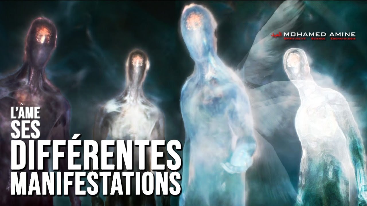 L'Âme | Ses Différentes Manifestations