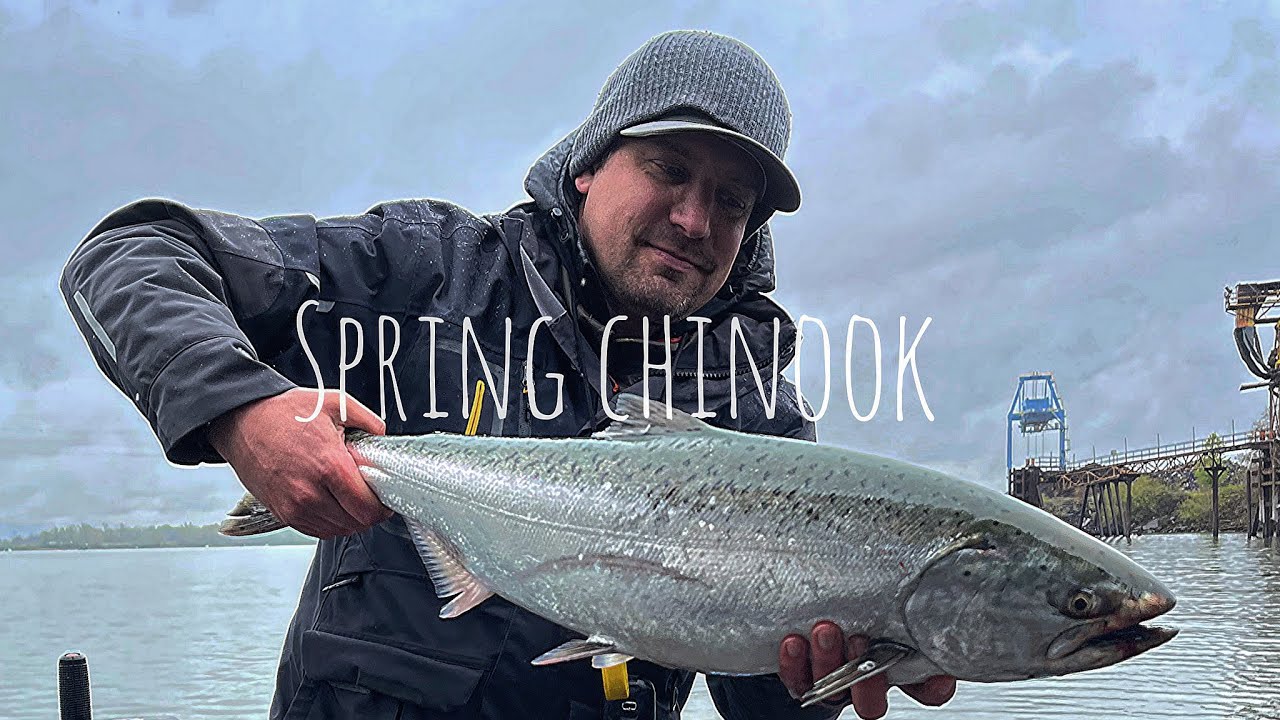 HIGH Off Color Willamette River Spring Chinook // Took This Set Up!!!