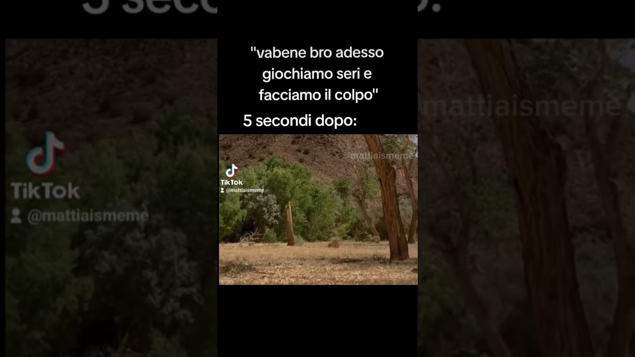 Ed è così che ho speso 1000000$  in assicurazioni 