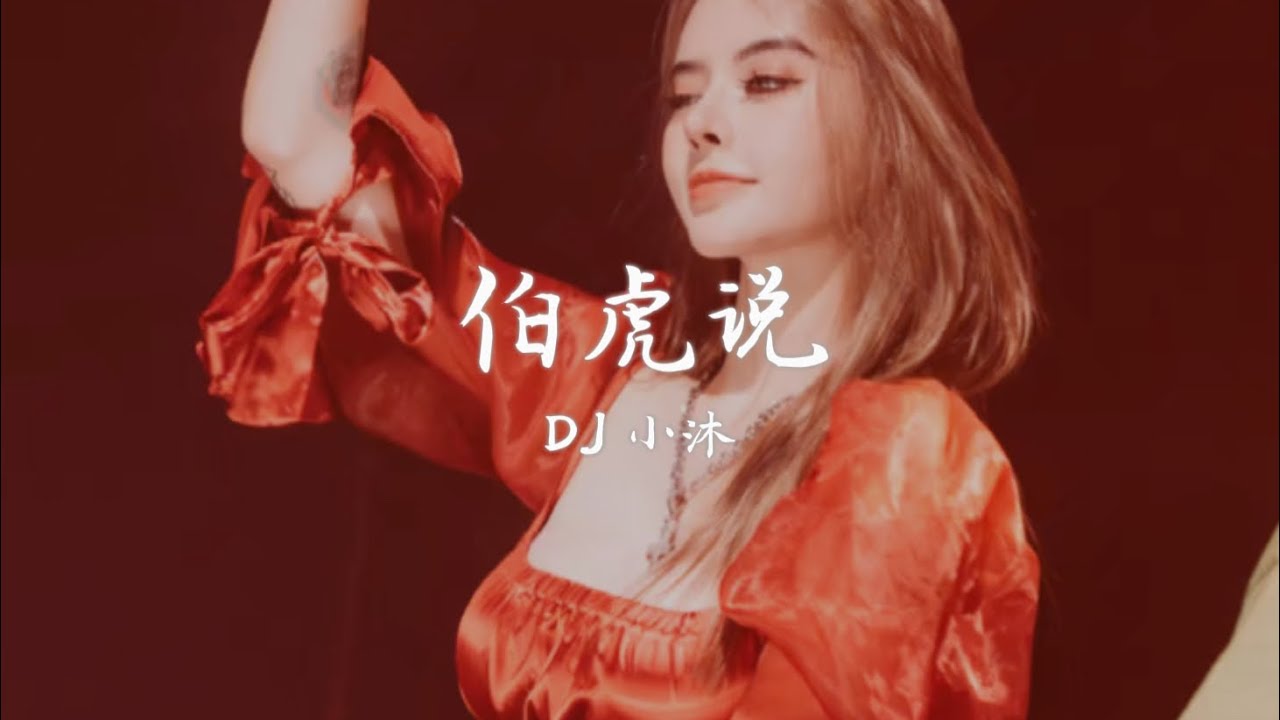 DJ 小沐 - 伯虎说（Remix版）
