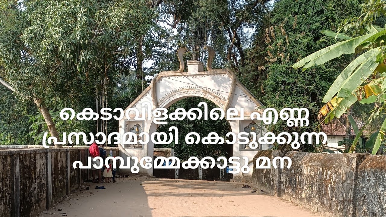 PAMBUMMEKKATTU MANA / THRISSUR