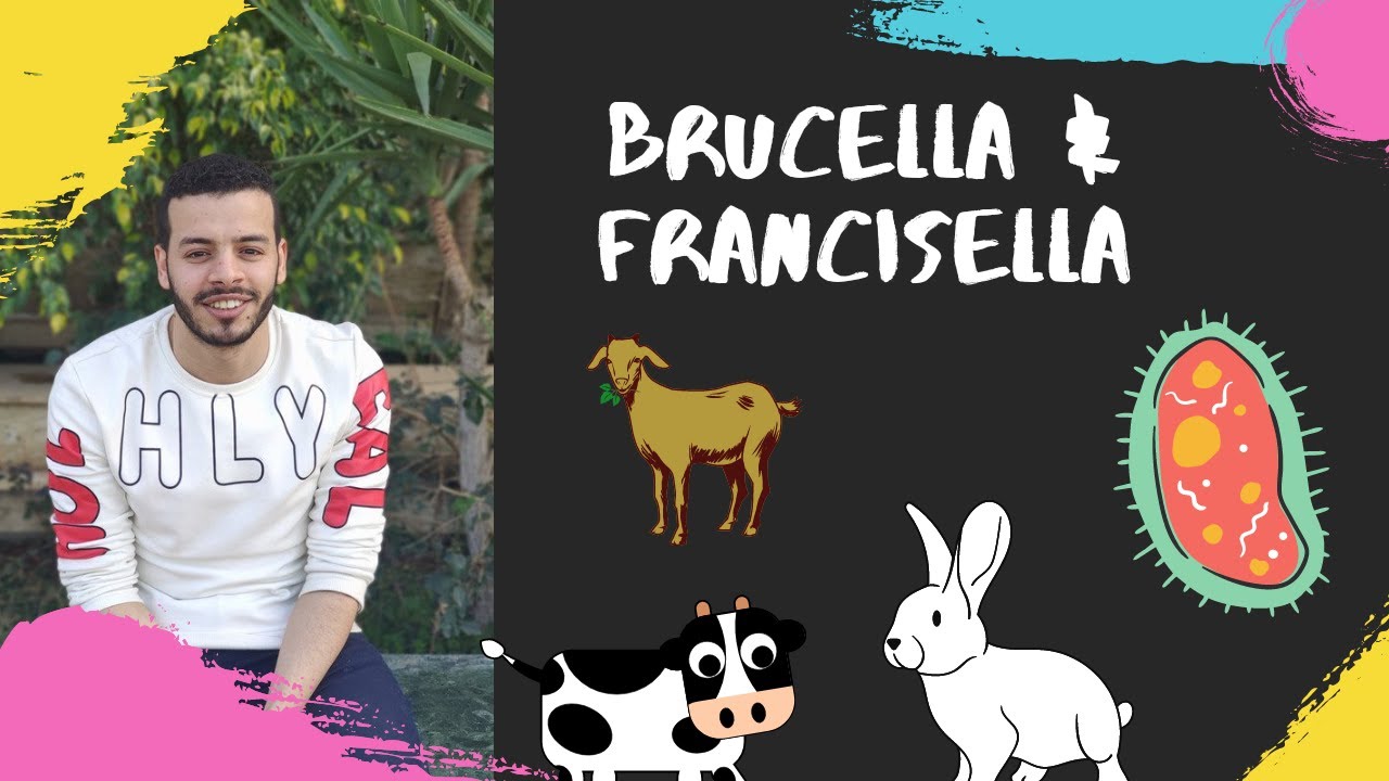 18-Brucella & Francisella
