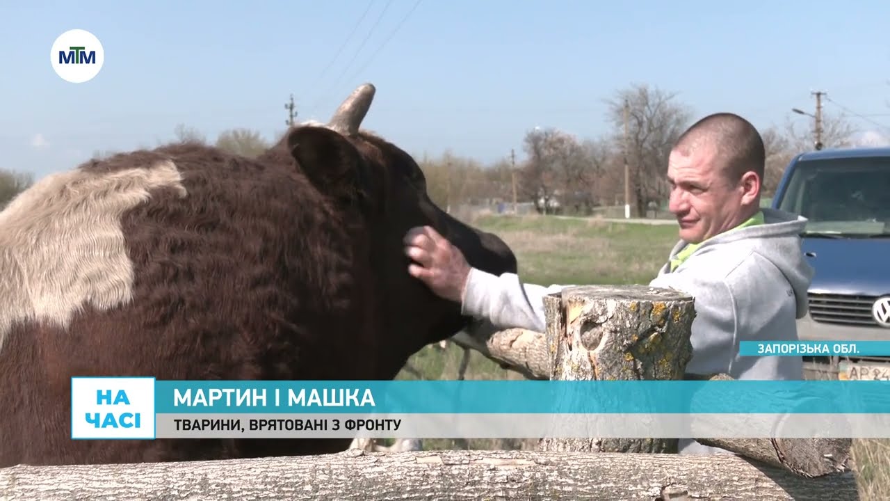 На часі - Привіз з фронту бичка та свиню: як живуть Мартин, Машка та Максим Харківський - 08.04.2025