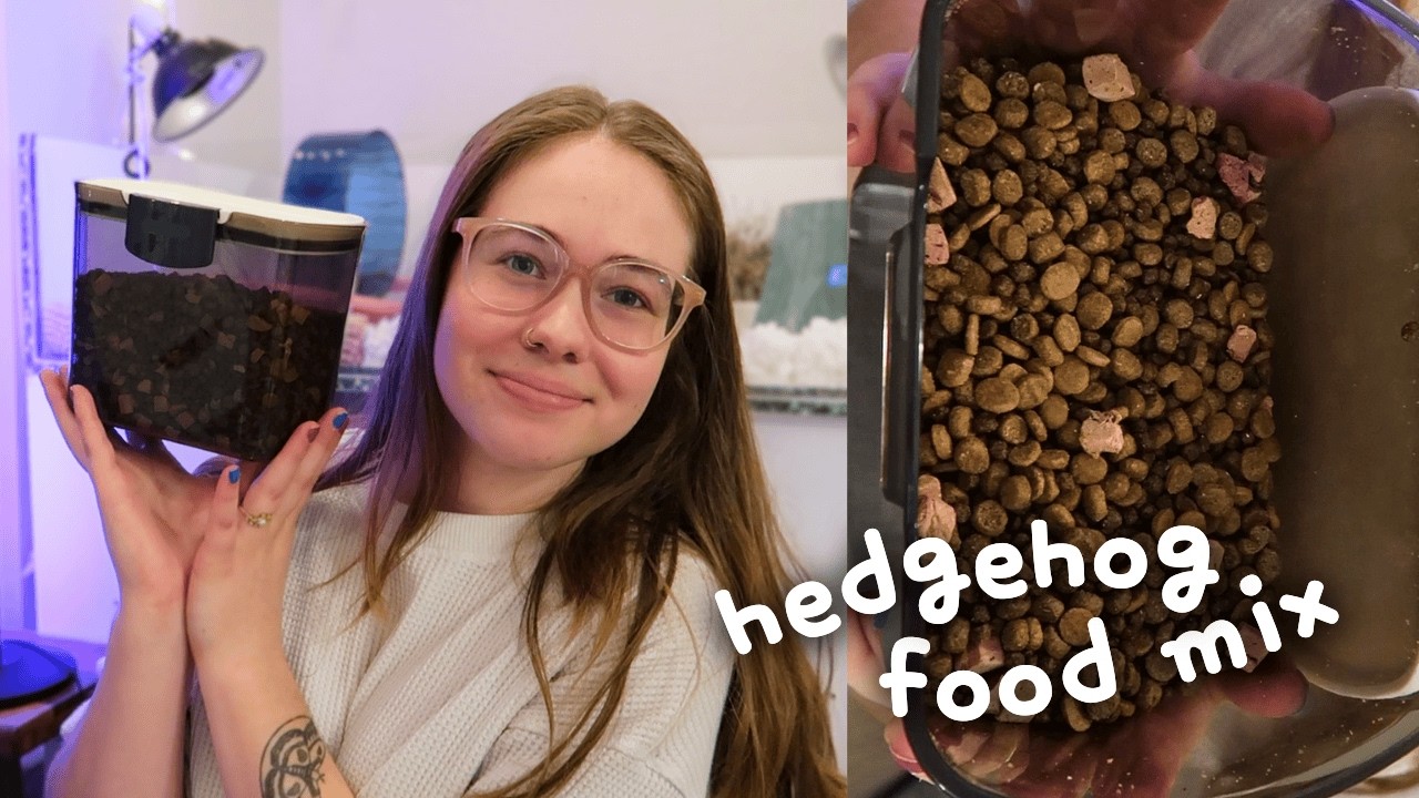 Making My Hedgehog A Food Mix!