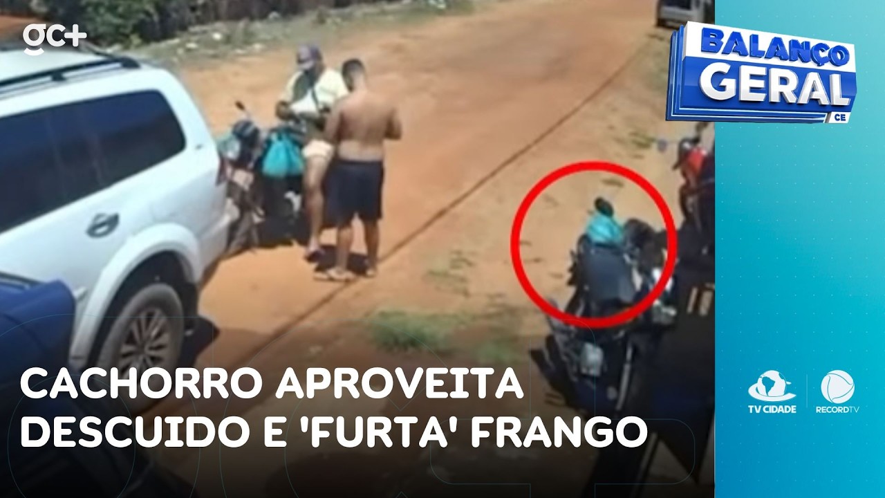 Cachorro aproveita descuido e 'furta' frango | Balanço Geral CE