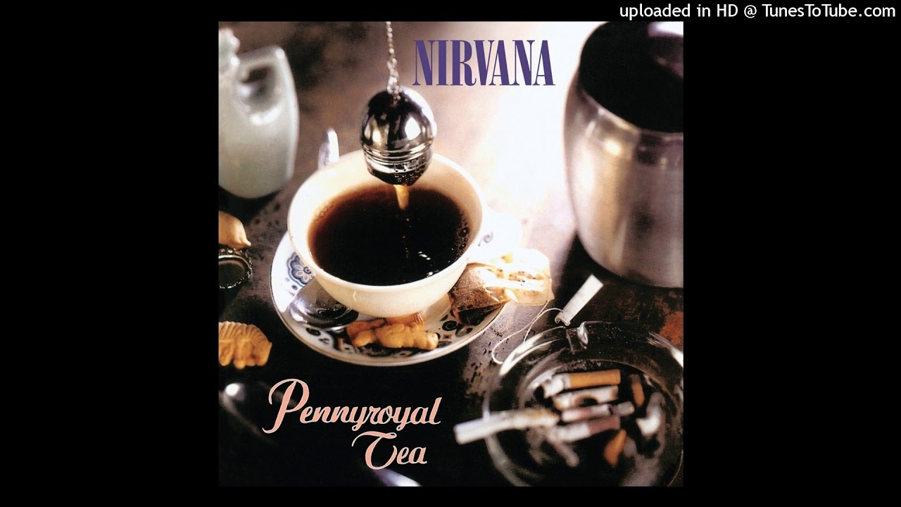 Nirvana - Pennyroyal Tea (Pachyderm Studios - Instrumental)