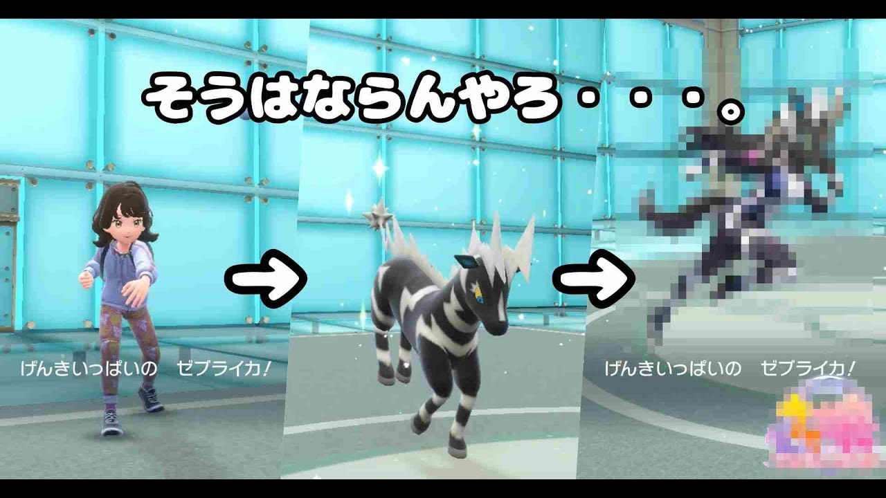 【ポケモンSVランクマ実況】新年あけましておめでとうございます。「ゼブライカ」でポケモンSVとプリティーダービーを無理やりねじ込んでみた。