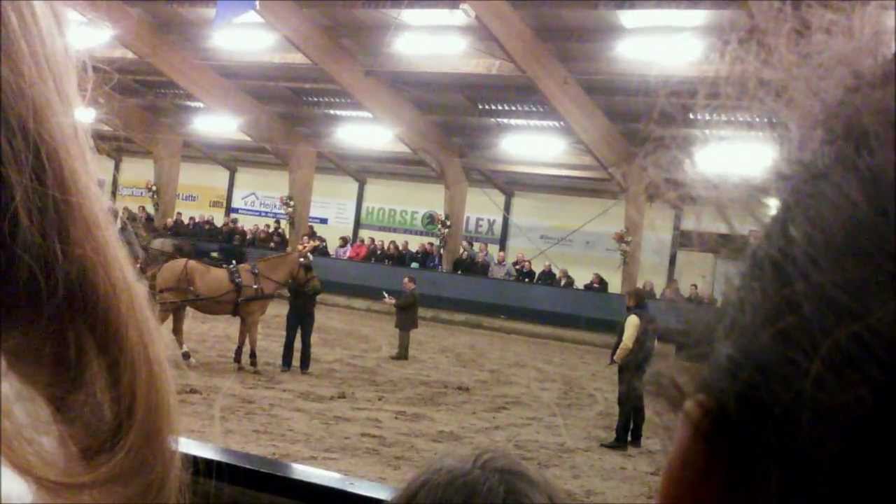 Boyd Exell Ermelo 2013 (3) Dressuur