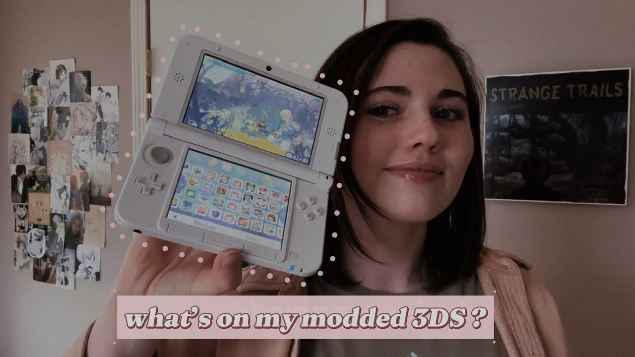 Что есть на моей модифицированной 3DS? (эмуляторы, игры, пользовательские темы, замена интернет-м...