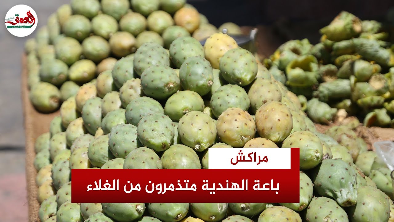 باعة 