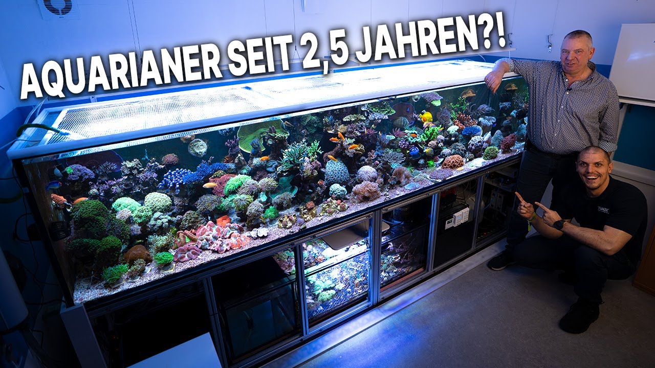 Nach 2,5 Jahren im Hobby EIN SOLCHES BECKEN?! - Rudolfs Geschichte