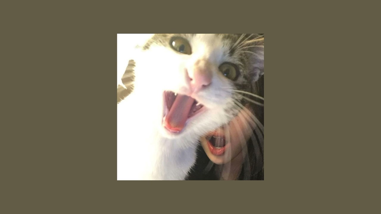 snap (sped up)