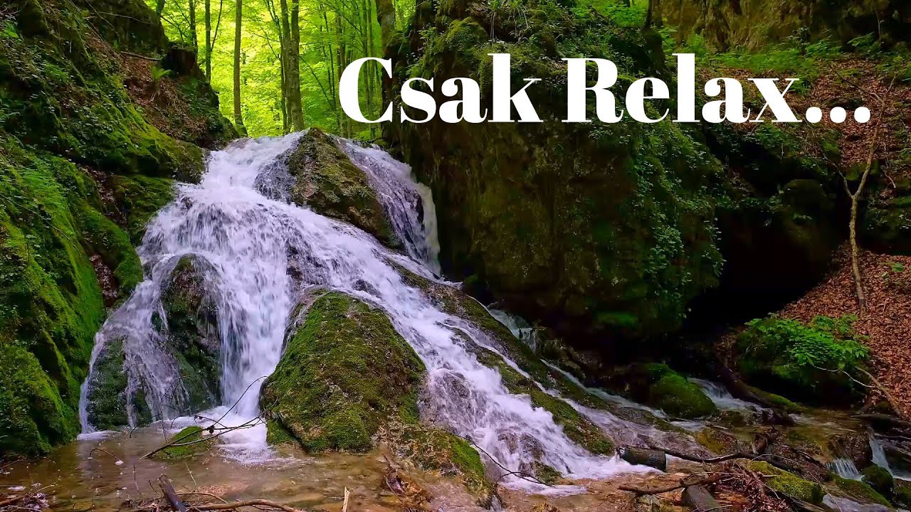 💦PATAKCSOBOGÁS és Erdei MADÁRDAL egy szép tavaszi napon. 🌳
