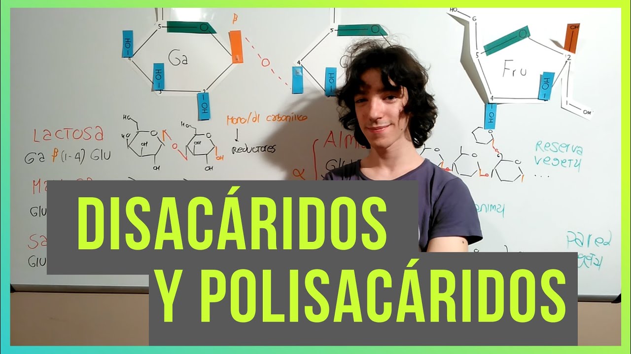 Disacáridos y Polisacáridos