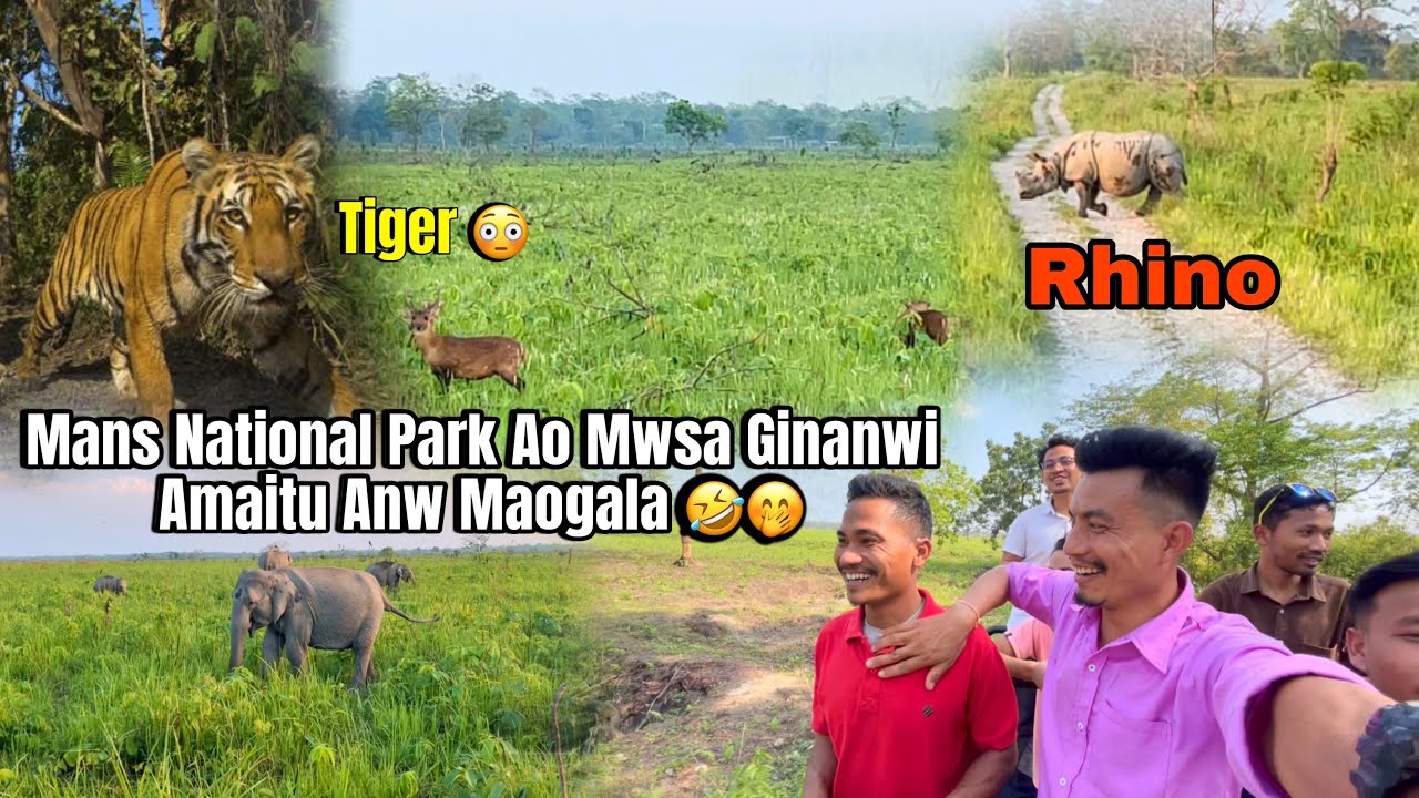 Manas National Park Ao Mwsa Ginanwi Amaitu Anw Maogala 😂🤭@dwimubasumatary6647