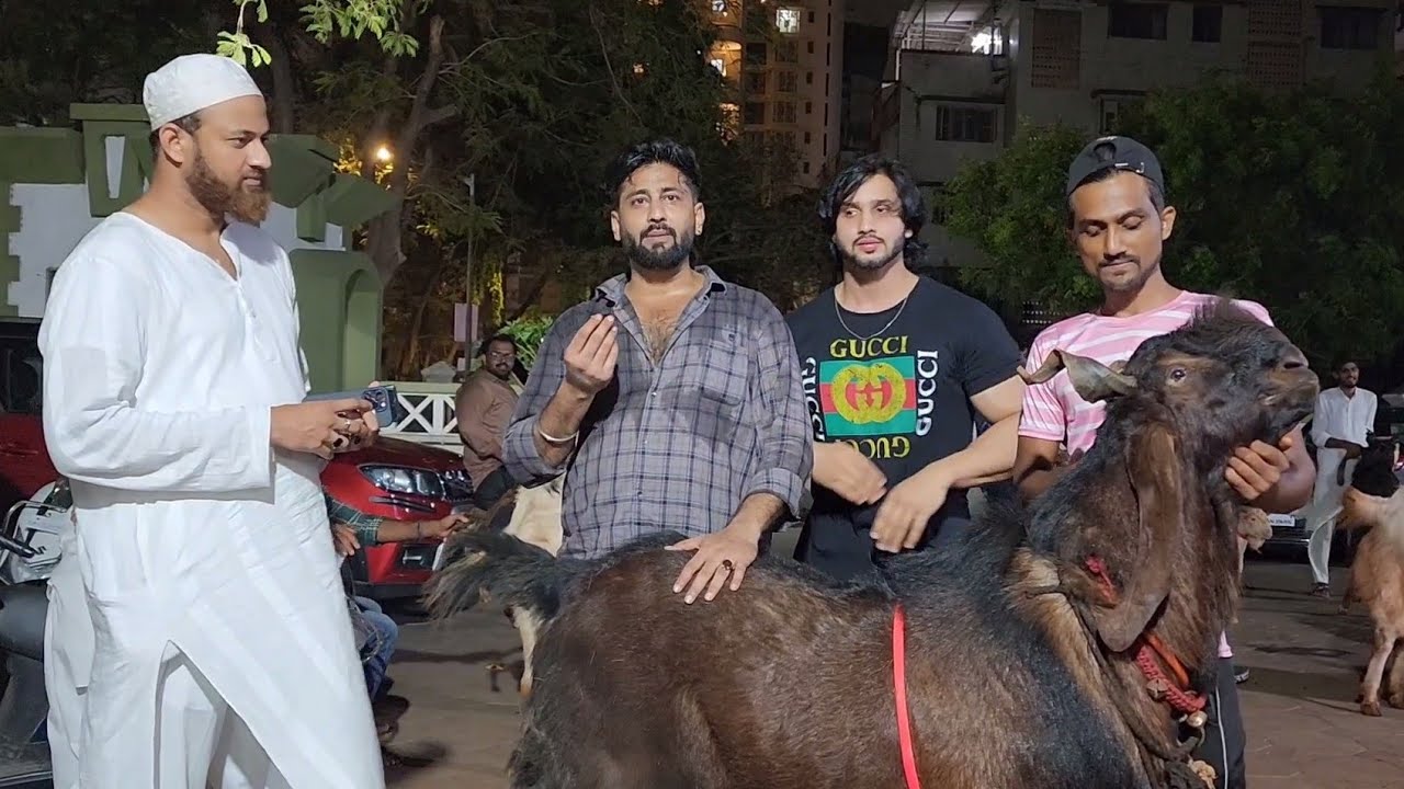 Team Memon Ka Heaviest Kota Collection | Owais Bhai And Waseem Bhai.