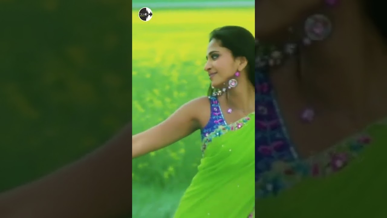 Nee Thavam Vertical Song | Don Tamil Movie | Nagarjuna | Raghava Lawrence | Anushka Shetty