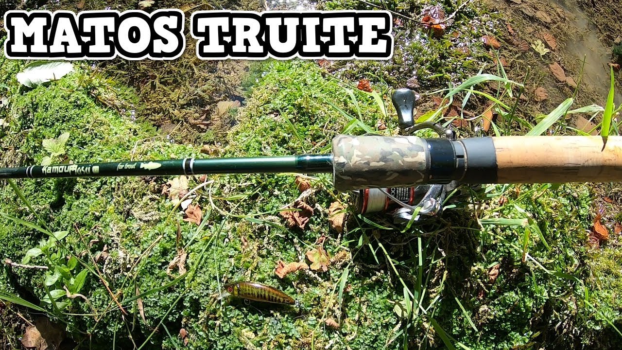 OUVERTURE TRUITE Mon matos truite 2020