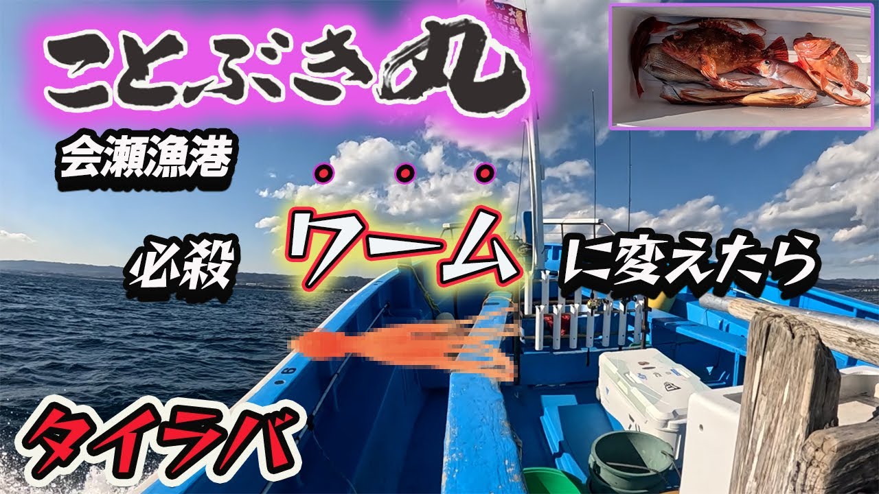 【ことぶき丸】【会瀬漁港】タイラバ必殺ワーム！水深70ｍの攻防！五目釣り