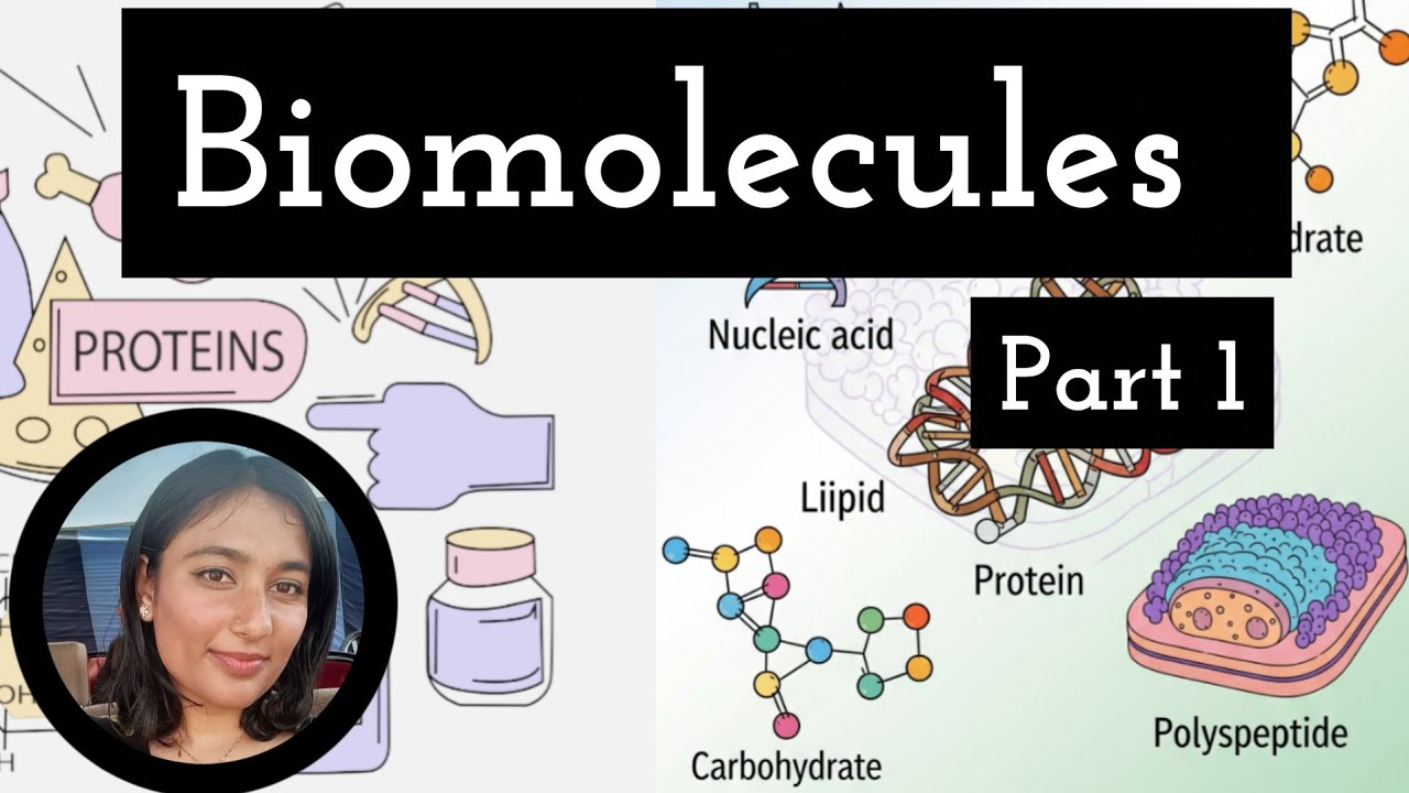 Biomolecules || Classification and examples || Part 1