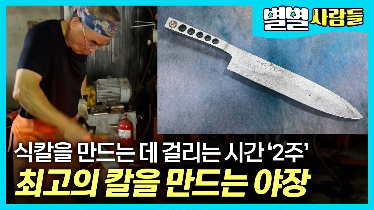 식칼 한자루 만드는 시간은 2주?? 대한민국 최고의 칼을 만드는 한정욱 달인 [ 별별사람들 ]