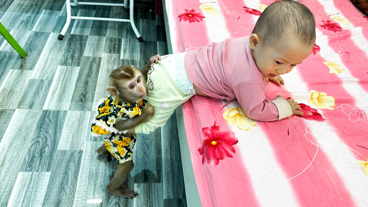 Collection of adorable and funny moments of Kaka and Diem