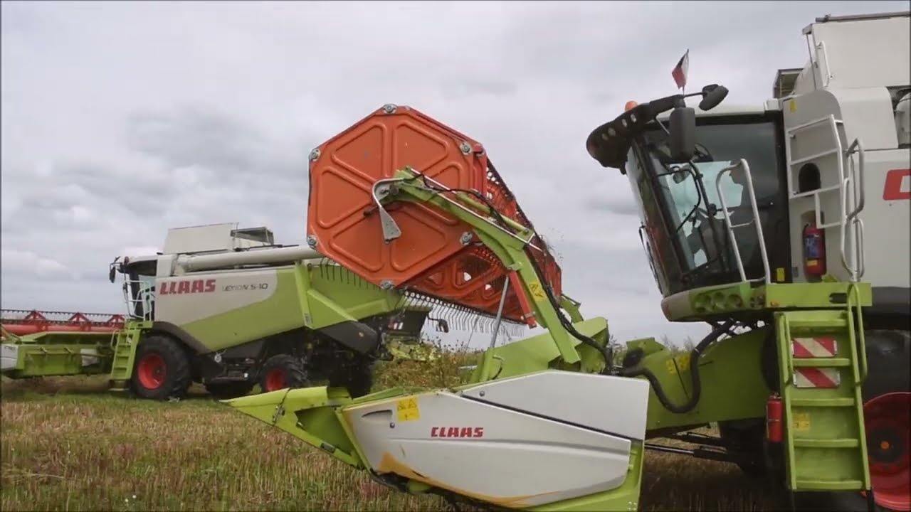 Sklizeň kmínu 2023