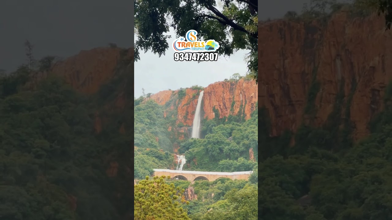 Tirumala Live updates #tirumala #balaji #tirupati #cstravelstirupati
