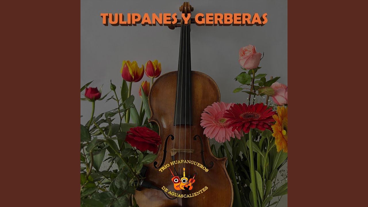 Tulipanes Y Gerberas