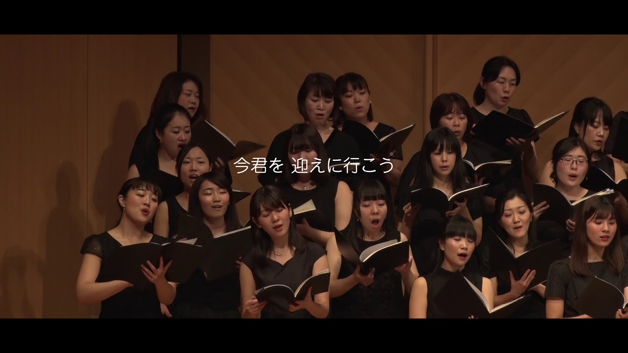 サボテンの花〜青春の影　ーAizawaNote vol.2