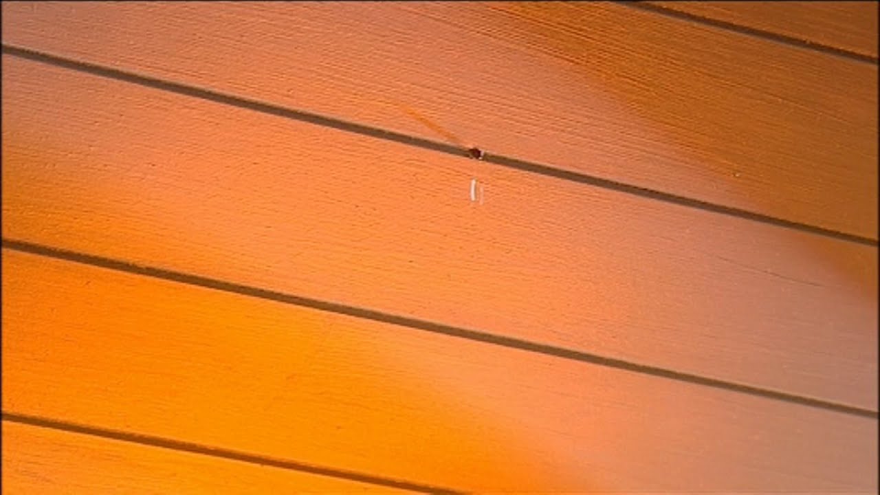 The Hoobs: The Drip (2002)