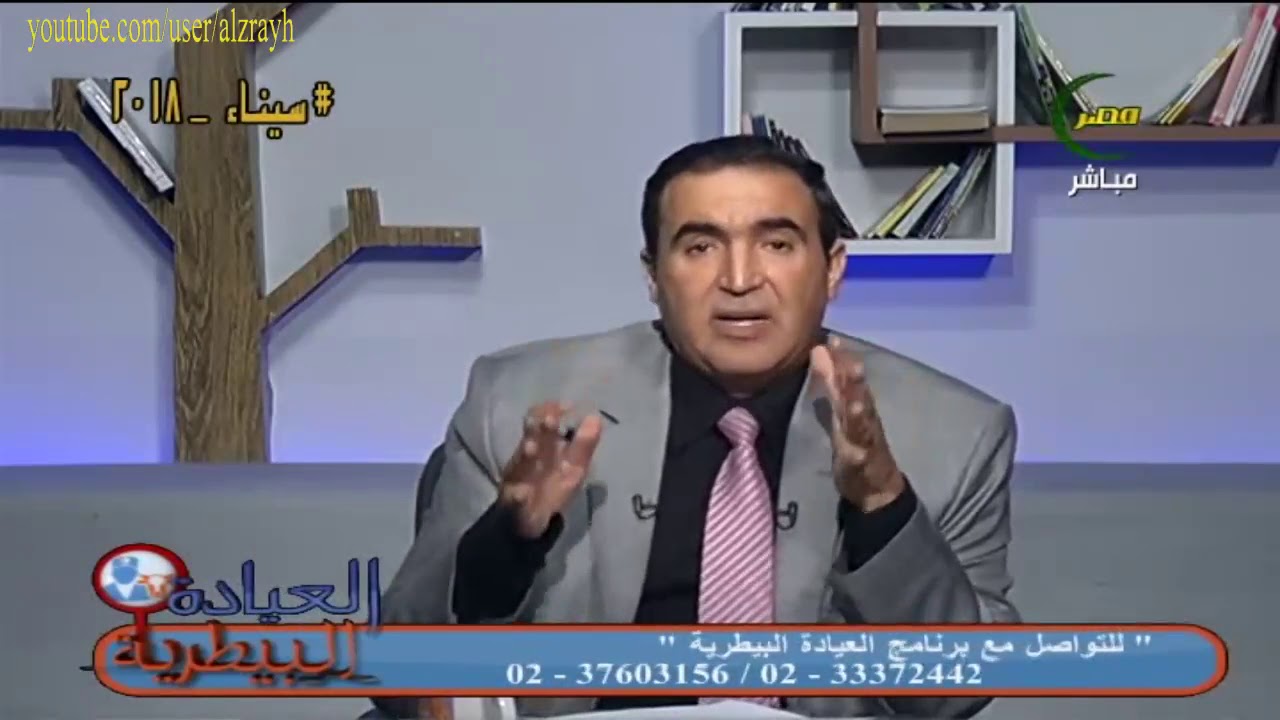 بديل الفول الصويا عند تركيب العليقة عند الابقار والجاموس