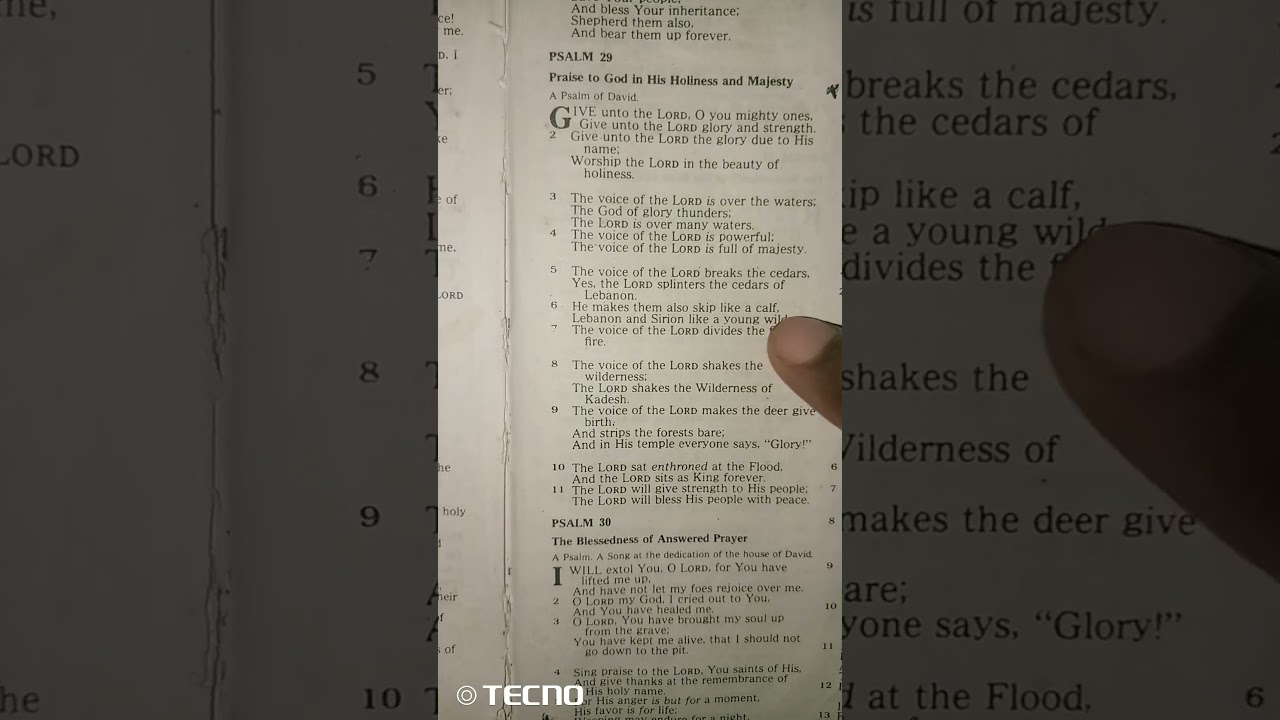 Psalm 29:6. Bible Reading And Meditation
