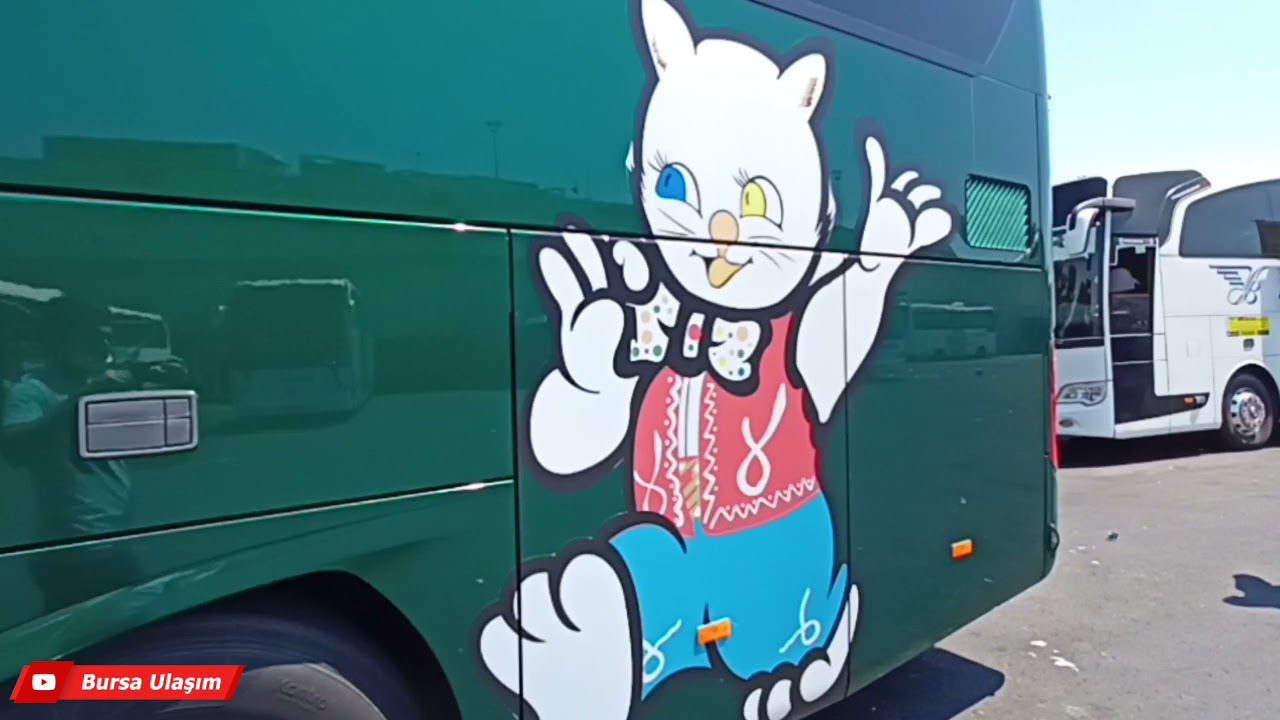 Best Van 
