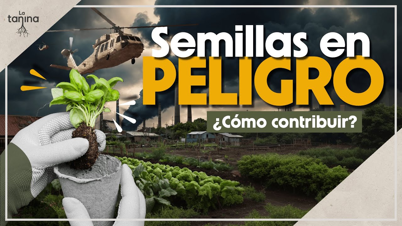 🌱 Semillas Olvidadas: Un Legado Vivo en Nuestras Manos 🌱