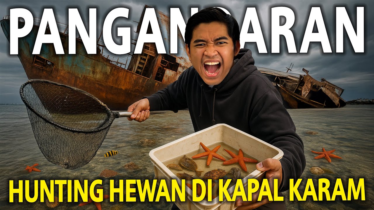 HUNTING HEWAN YANG ADA DI SEKITAR KAPAL KARAM PANGANDARAN! TERNYATA BANYAK HEWAN YANG GAK DIDUGA!