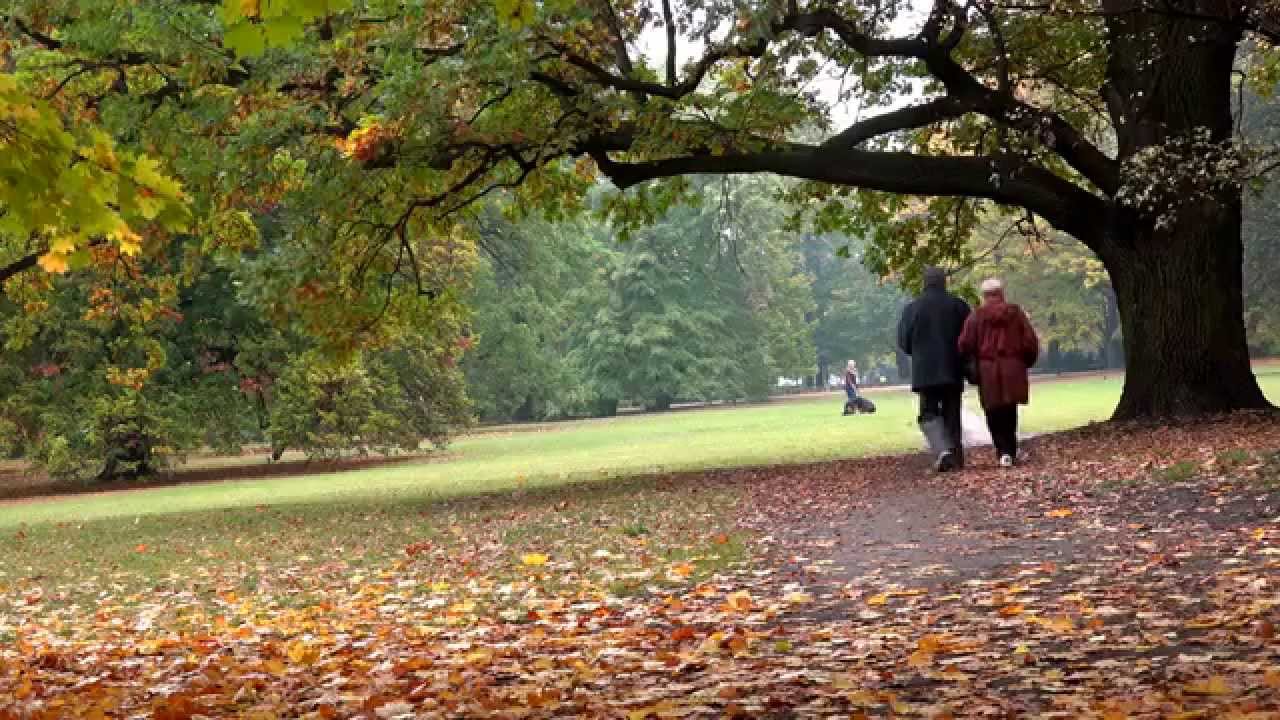 Senior couple walking in autumnal park