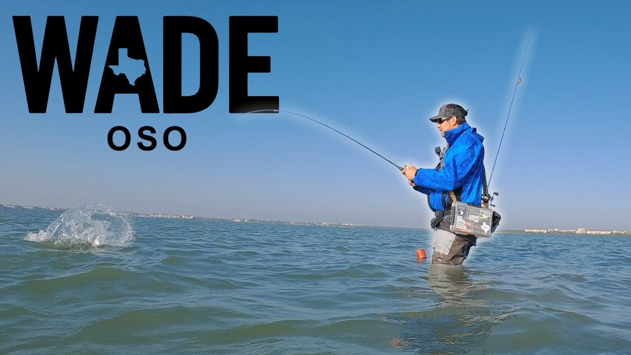 Wade Fishing Oso Bay for Speckled Trout & Redfish with JRZ Lures! | Wade Texas