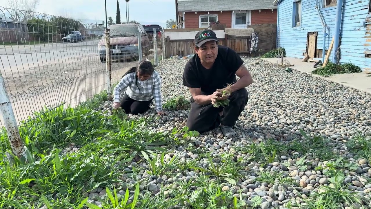 Terminamos de acomodar la leña ahora me toca ir a ayudarle a Chonita a limpiar la yarda