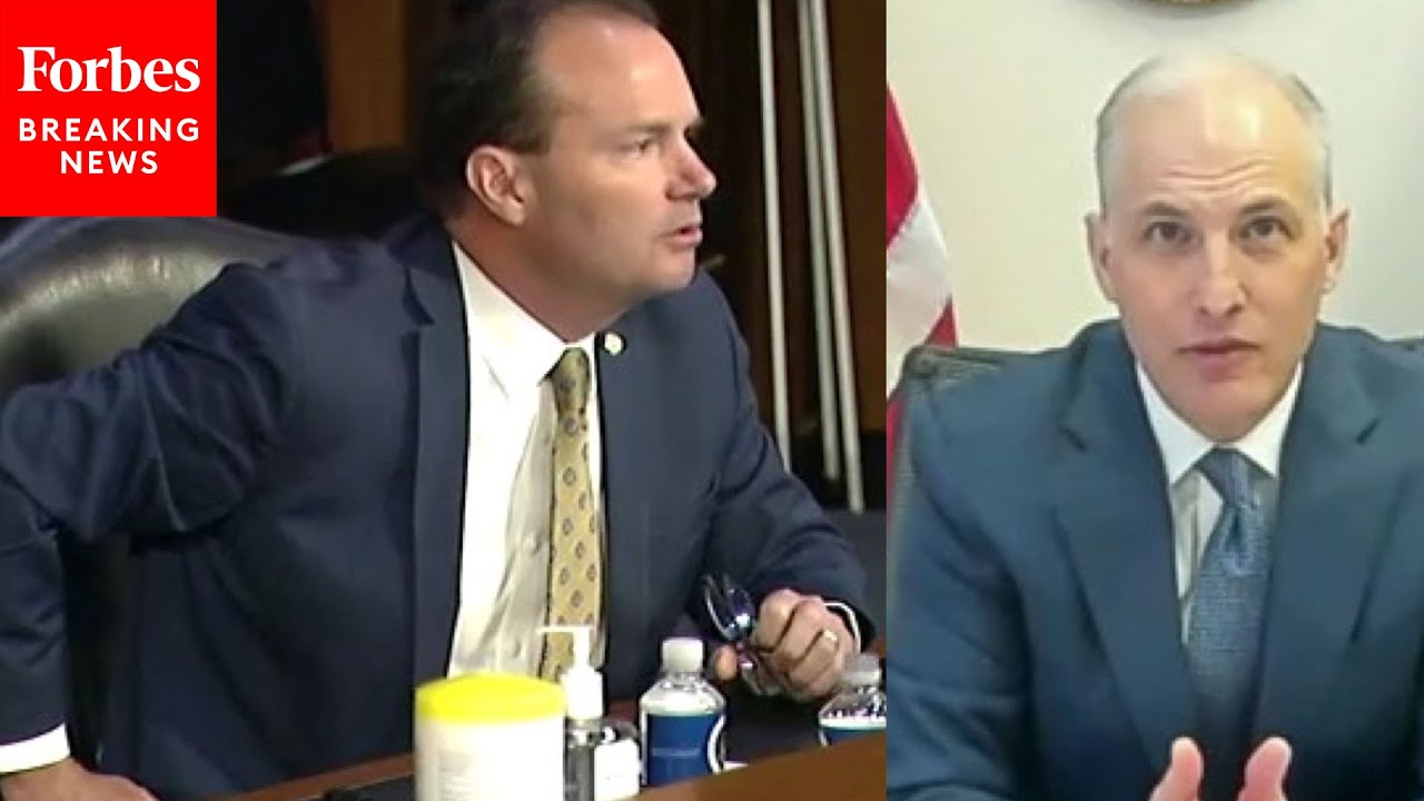 Lee To FBI Official: 'Has Anyone Been Charged With The Crime Of Insurrection?'