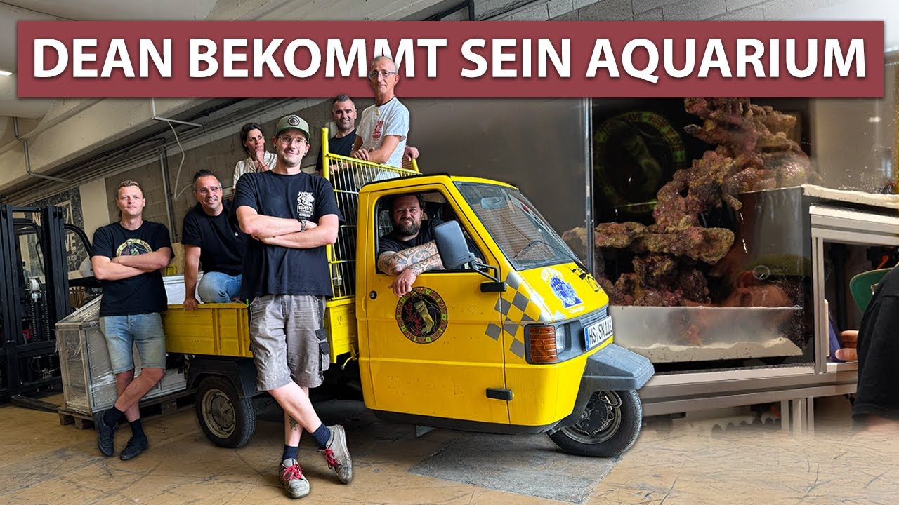 LOS GEHT'S! - Dean bekommt sein DROP OFF Aquarium geliefert! - New Wave Concept