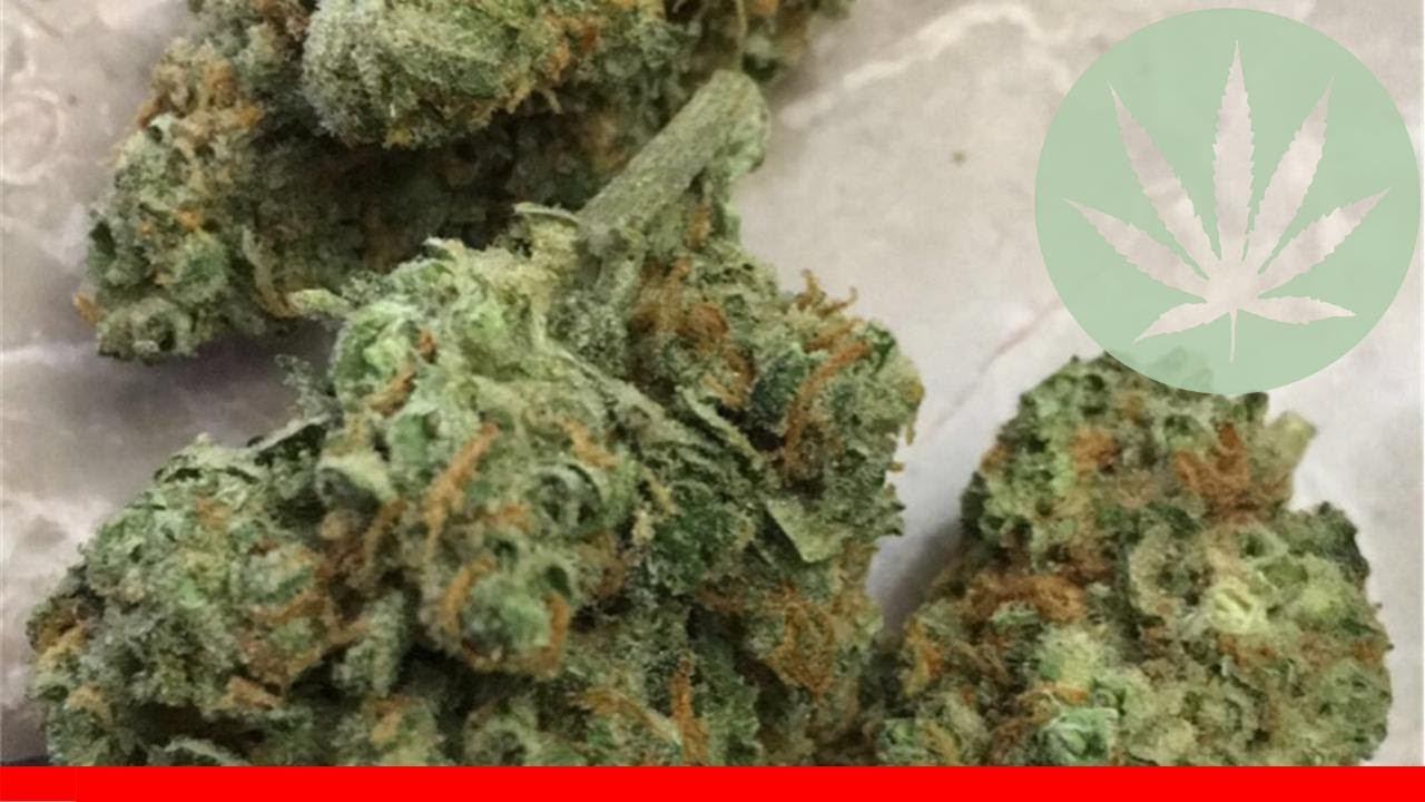 Area 51 - All About This Strain