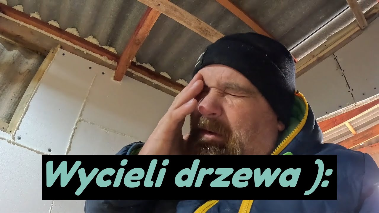 Wycieli drzewa - U Polaka na Krymie dzień kolejny