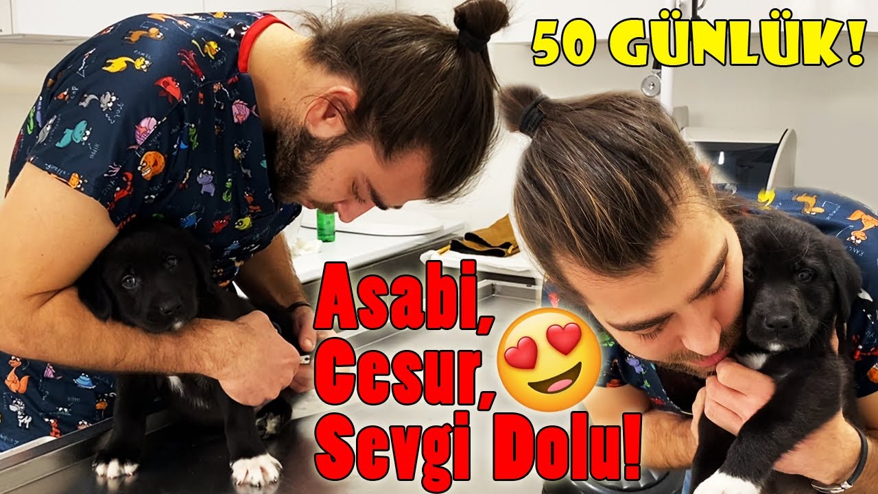 HEM SEVDİ HEM DÖVDÜ! 😍 50 Günlük Bebeğin Güzelliğine Doyamayacaksınız! ❤️ #inanoğlu