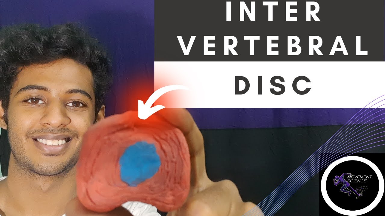 INTERVERTEBRAL DISC (BIOMECHANICS OF SPINE)Physiotherapy Tutorial